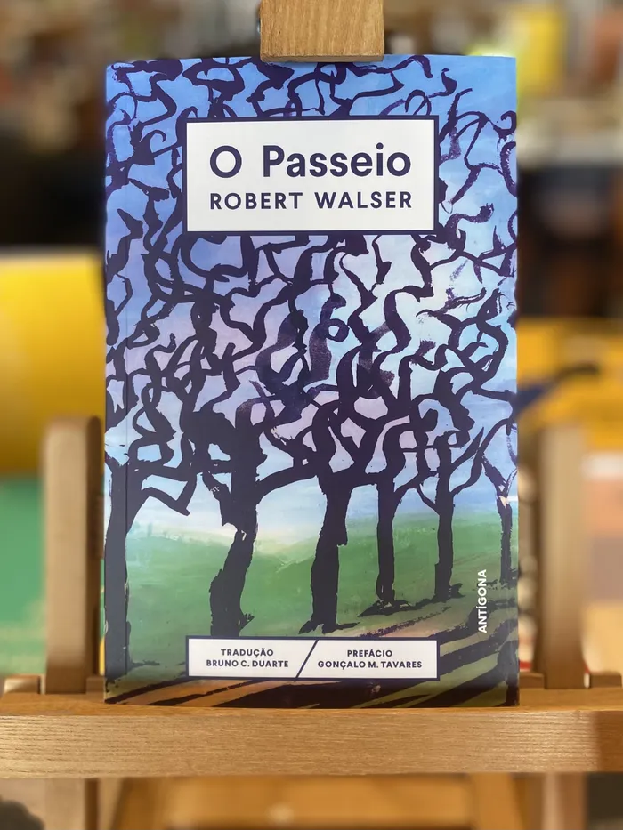 PASSEIO, O
