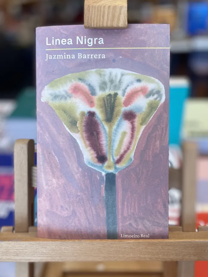 LINEA NIGRA