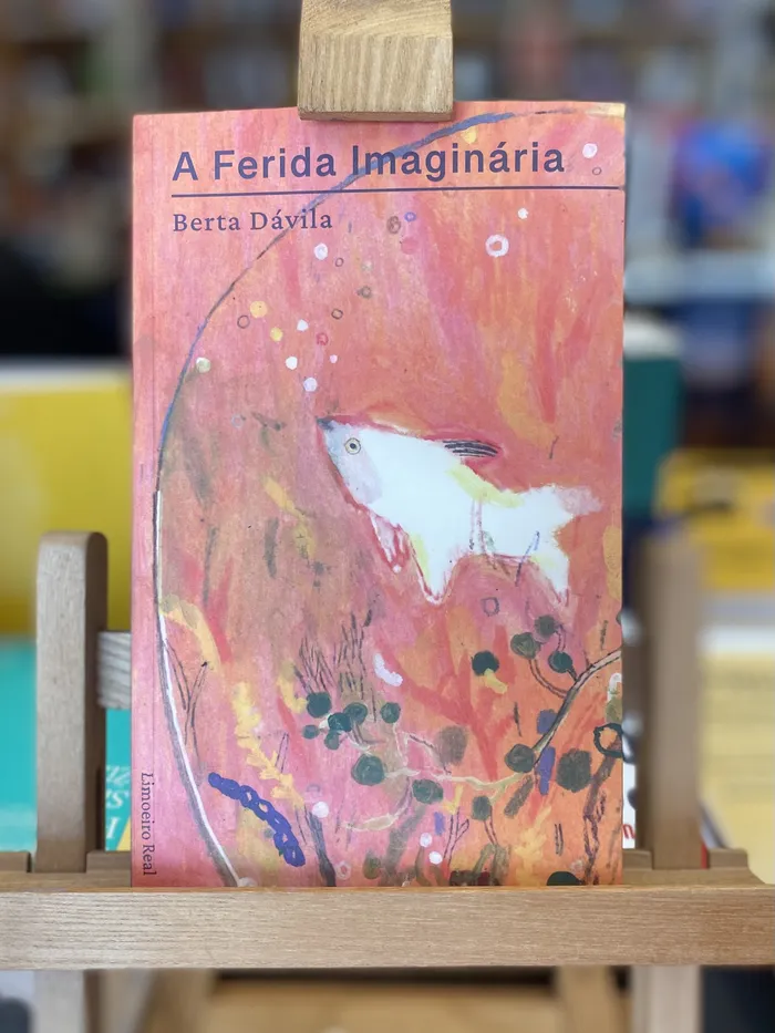 FERIDA IMAGINÁRIA, A