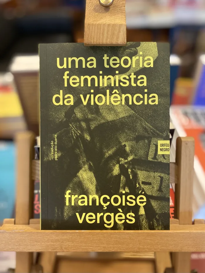 UMA TEORIA FEMINISTA DA VIOLÊNCIA