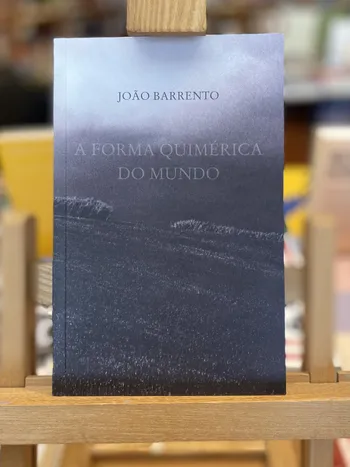 FORMA QUIMÉRICA DO MUNDO, A