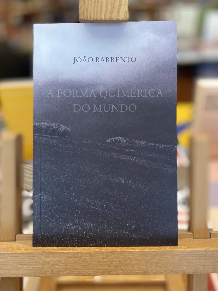 FORMA QUIMÉRICA DO MUNDO, A