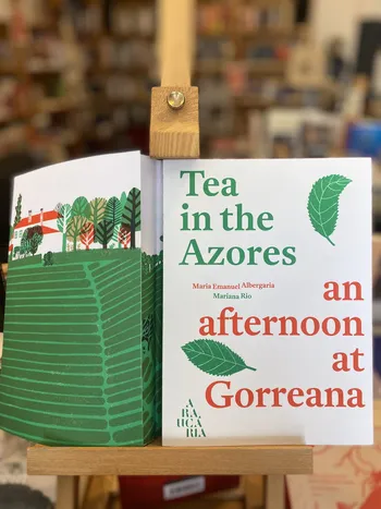 TEA IN THE AZORES - AN AFTERNOON AT GORREANA - CHÁ GORREANA