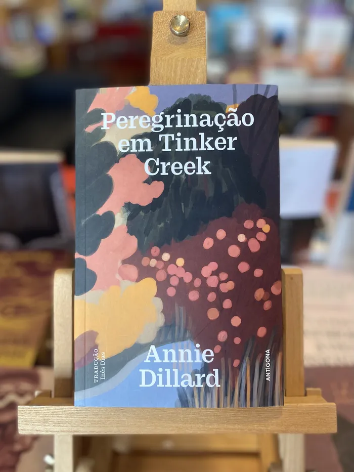 PEREGRINAÇÃO EM TINKER CREEK